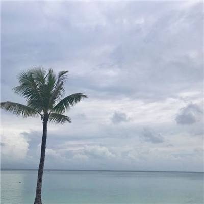 迷你拳皇手游下载